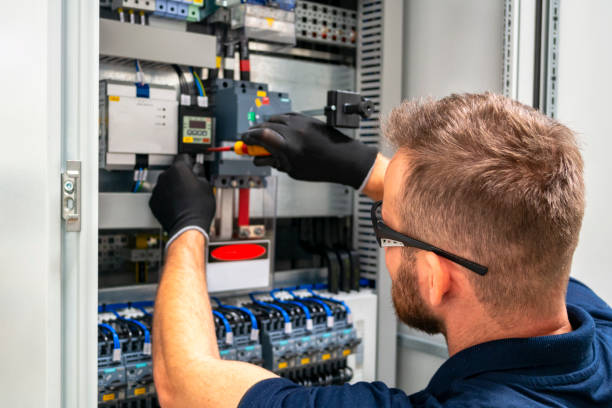 Best Local Electrician Companies  in Natalbany, LA